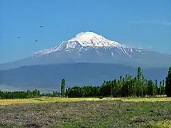 Ararat, from west