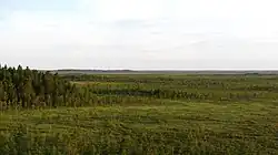 Muraka bog