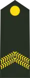 Korporaal der 1e klasse (Royal Netherlands Army)[13]