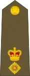 Lieutenant-colonel