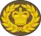 Warrant officer class 2 (sergeant major)