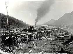 No. 8 at Brownlees Mill Carluke hauling timber to Pelorus