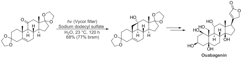 Type II Norrish reaction in Phil Baran's total synthesis of the biologically active cardenolide ouabagenin.