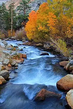 Bishop Creek Battleground