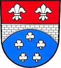 Coat of arms of Nová Ves u Chotěboře