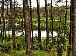 View of a lake in the village