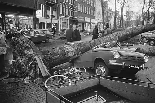 Fallen tree after storm in January 1976 Elandsgracht, Amsterdam