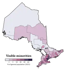 Visible minority population in Ontario, 2021