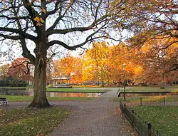Oranjepark during fall