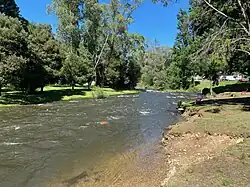The Ovens River near Bright after significant rainfall