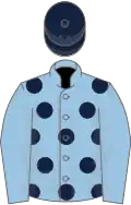 Light blue, dark blue spots, light blue sleeves, dark blue cap