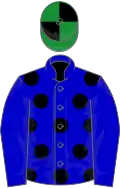 Blue, black spots on body, green and black quartered cap