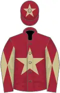 Maroon, beige star, diabolo on sleeves and star on cap