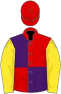 Red And Purple (quartered), Yellow Sleeves, white Cap