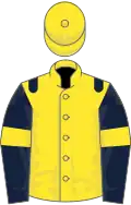 Yellow, dark blue epaulets, dark blue sleeves, yellow armlets