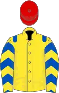 Yellow, royal blue epaulets, royal blue and yellow chevrons on sleeves, red cap