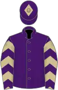 Purple, beige and purple chevrons on sleeves, purple cap, beige diamond