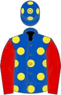 Royal blue, yellow spots, red sleeves