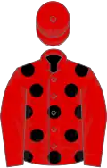 Red, black spots on body