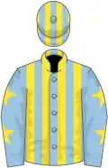 Light blue and yellow stripes, yellow stars on sleeves, yellow and light blue striped cap