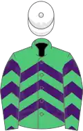 Emerald green, purple chevrons, white cap