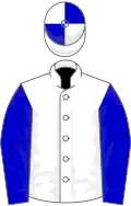 White, blue sleeves, quartered cap
