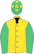 Yellow, emerald green sleeves, green cap, yellow spots