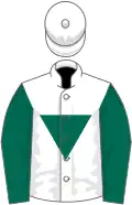 White, dark green inverted triangle and sleeves