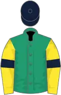 Emerald green, yellow sleeves, dark blue armlets, dark blue cap