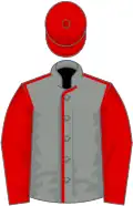Grey, red seams, sleeves and cap