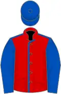 Red, royal blue seams, sleeves and cap