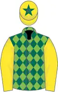Dark Green and Light Green diamonds, Yellow sleeves, Yellow cap, Dark Green star
