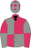 Grey and cherry (quartered), reversed halved sleeves, grey cap, cherry spots