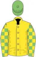 Yellow, yellow and light green check sleeves, light green cap