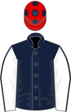 Dark Blue, White sleeves, Dark Blue seams, Red cap, Dark Blue spots