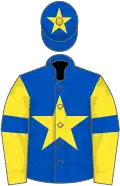 Royal blue, yellow star, yellow sleeves, royal blue armlets, royal blue cap, yellow star
