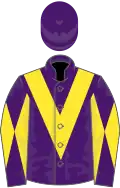 Purple, yellow chevron, diabolo on sleeves, purple cap