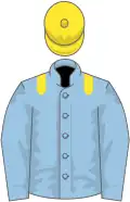 Light blue, yellow epaulets and cap