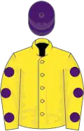 Yellow, purple spots on sleeves, purple cap