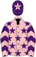 Pink, purple stars, purple and pink chevrons on sleeves, purple cap, pink star
