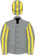 Grey, yellow striped sleeves and cap