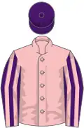 Pink, purple striped sleeves, purple cap