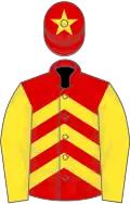 Red and yellow chevrons, yellow sleeves, red cap, yellow star