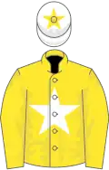 Yellow, White star, White cap, Yellow star