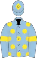 Light blue, yellow spots, armlets and diamond on cap