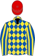 Royal blue and yellow diamonds, striped sleeves, red cap