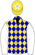 Yellow and blue diamonds, white sleeves, yellow cap, white star