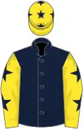 Dark blue, yellow sleeves, dark blue stars and cap