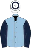 Light blue, dark blue sleeves, white cap, dark blue hoop