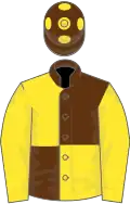 Brown and yellow quartered, yellow sleeves, brown cap, yellow spots